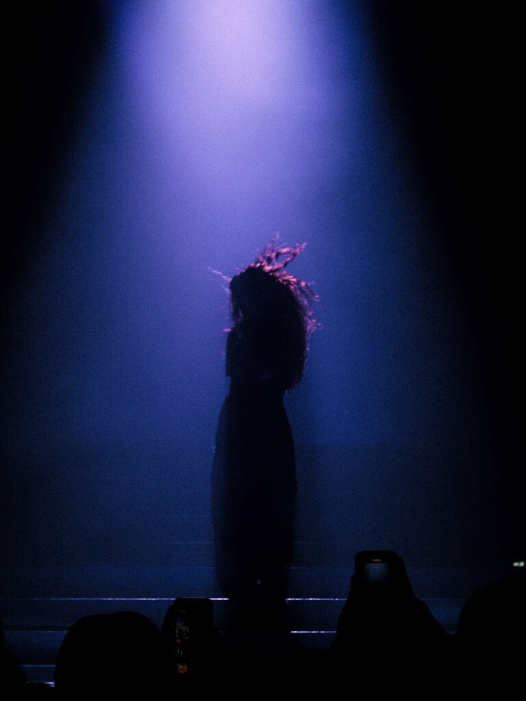 Silhouette einer Performerin unter einem einzelnen Spotlight während eines Konzerts.